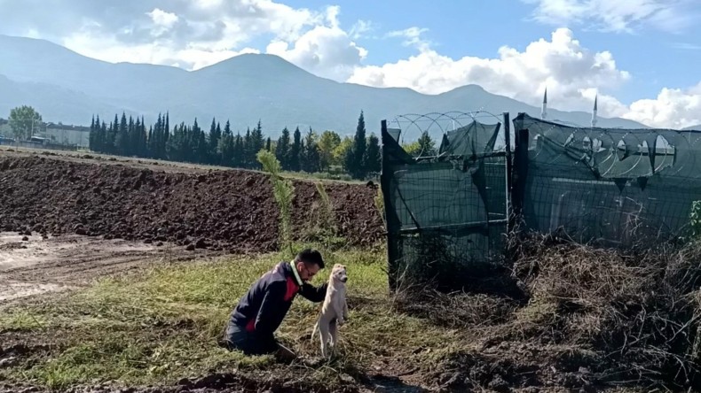 Çukura düşen yavru köpeği A Takımı kurtardı
