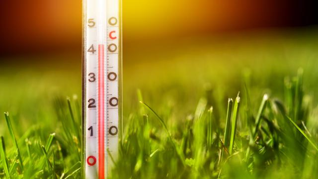 Sıcaklar geri geliyor!