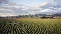 TOKİ Kocaeli’de satılık arsa ihalesi