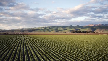 TOKİ Kocaeli’de satılık arsa ihalesi