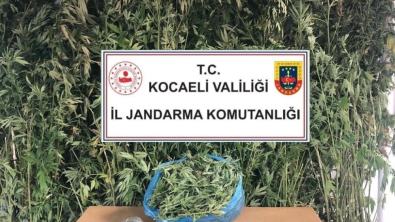 Kocaeli’de 4 kilo 825 gram esrar ele geçirildi!