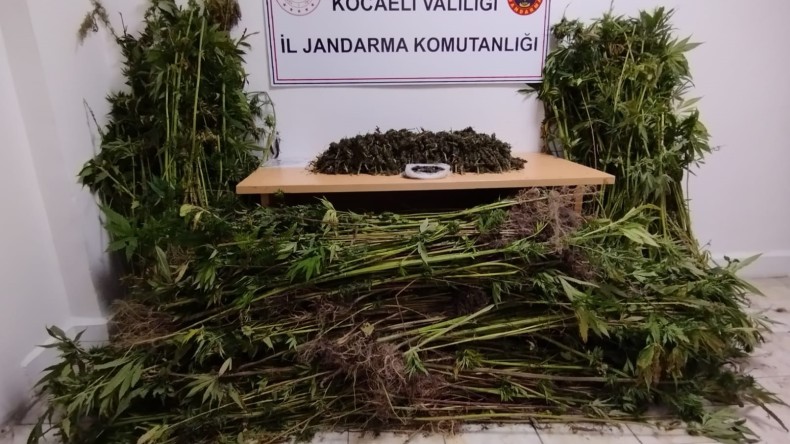 Jandarma zehir tacirlerine geçit vermiyor!