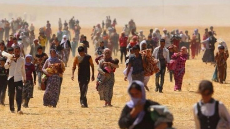 65 düzensiz göçmen sınır dışı edildi