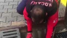 İlkokul öğrencisinin dikkati yavru kedileri ölümden kurtardı