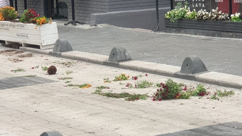 Gençtürk, “Altından planlı bir sabotaj çıkmaz umarım”