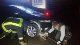 Otomobilin altına sıkışan köpeğin yardımına itfaiye koştu
