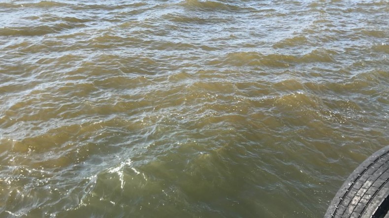 İzmit Körfezi’nde denizin bir kısmı kahverengiye büründü