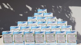 İzmit Belediyesi’nden kiraz üreticilerine yaprak gübresi!