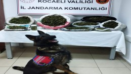 Kocaeli’de uyuşturucu operasyonu! Kilolarca kubar esrar ele geçirildi