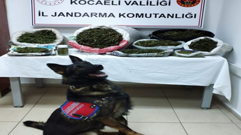 Kocaeli’de uyuşturucu operasyonu! Kilolarca kubar esrar ele geçirildi