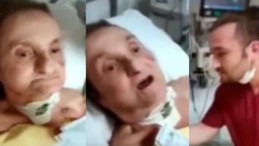 Skandal! Pes dedirtti…