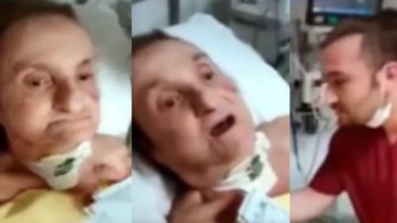 Skandal! Pes dedirtti…