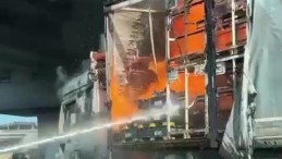 TEM’de seyir halinde olan tır bir anda alev topuna döndü