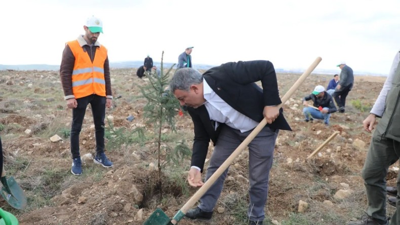 Dilovası’nda 2 bin 500 fidan toprakla buluştu