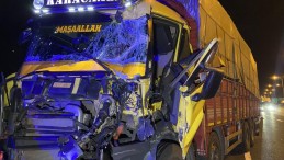TEM’de 2 kamyon çarpıştı; sürücü yaralandı