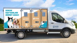 Sokak hayvanları özel araç ile nakledilecek