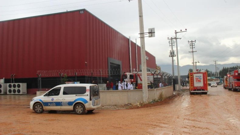 Cips fabrikasında çıkan yangın korkuttu