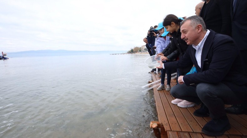 Karamürsel’den Körfez’e 6 bin balık salındı