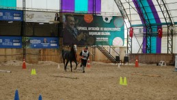 Türkiye Atlı Dayanıklılık yarışmaları nefesleri kesti