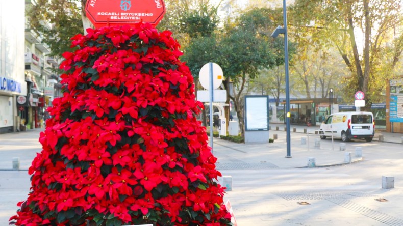 Büyükşehir’den 1084 Atatürk çiçeği