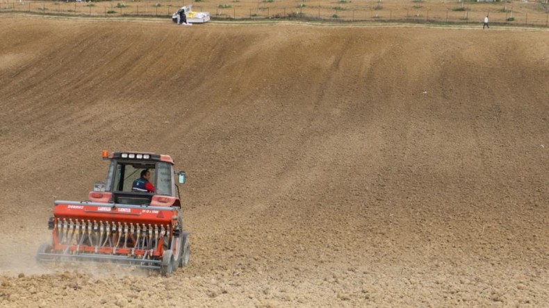 Nusrat buğday tohumları toprakla buluşturuldu