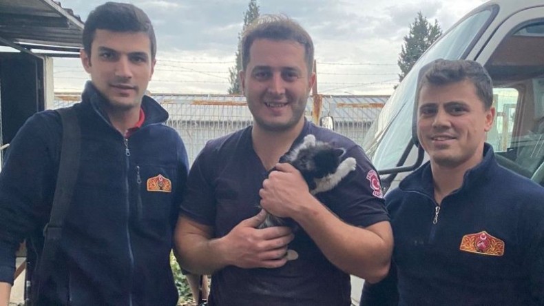 Duvara sıkışan yavru kediyi itfaiye kurtardı