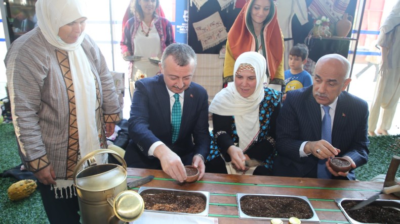 Kocaeli’nde üretilen biberiye ayçiçek yağında kullanılacak