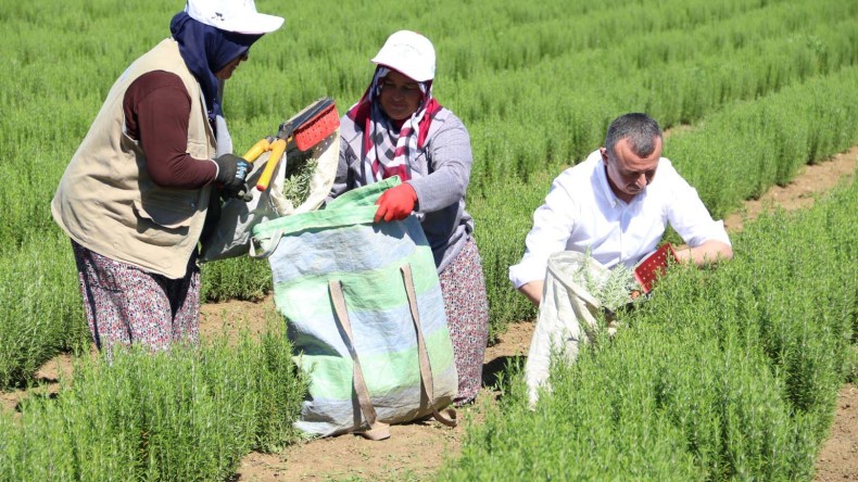 30 Büyükşehir, tarımın kalkınması için Kocaeli’de bir araya geliyor