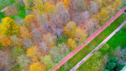 Rengarenk yapraklar dile geldi