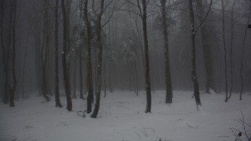 Kartepe’de kar kalınlığı 10 santimetreye yaklaştı