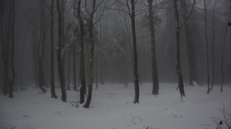 Kartepe’de kar kalınlığı 10 santimetreye yaklaştı
