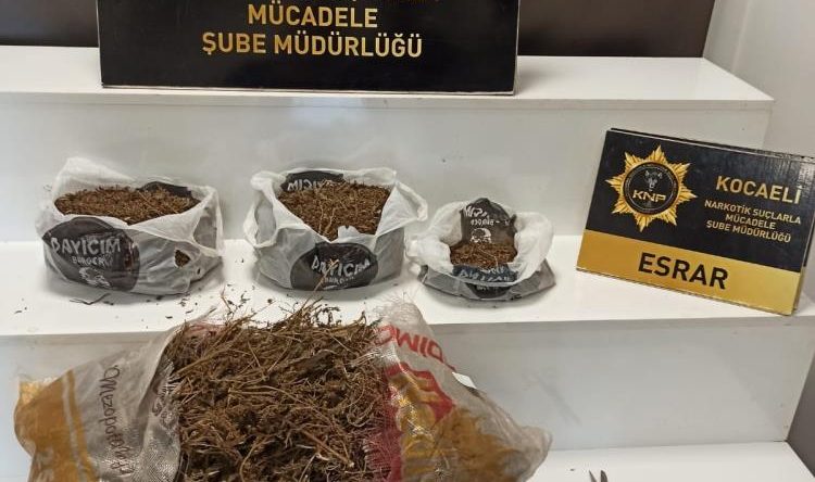 İzmit’te narkotik operasyon; 3 kilo 500 gram esrar ele geçirildi