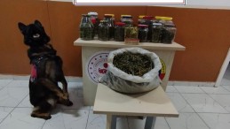 Uyuşturucuyu cam kavanoz ve plastik bidonlarda saklamışlar