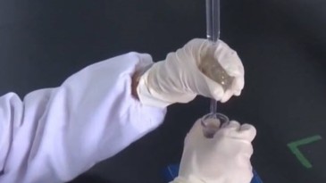 Korona belası geri geliyor; Tarih verdi, uyardı