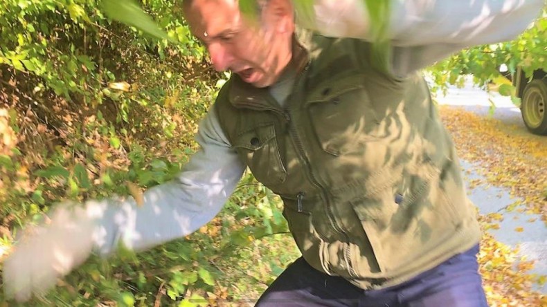 Yaralı yırtıcı kuş, kendisini kurtarmak isteyen görevliyi yaraladı