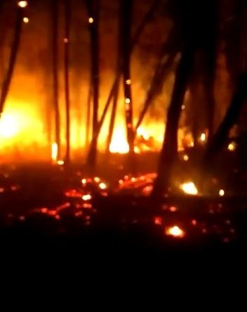 Kocaeli’nin iki ilçesinde peş peşe yangınlar