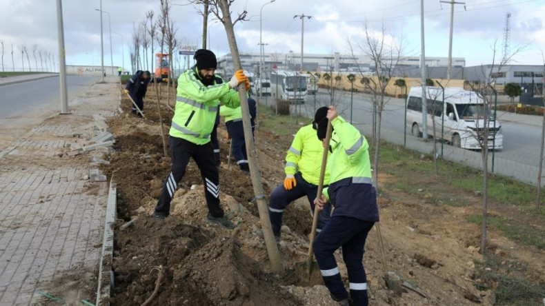 TEM Gebze güzergahında ağaçlandırma seferberliği