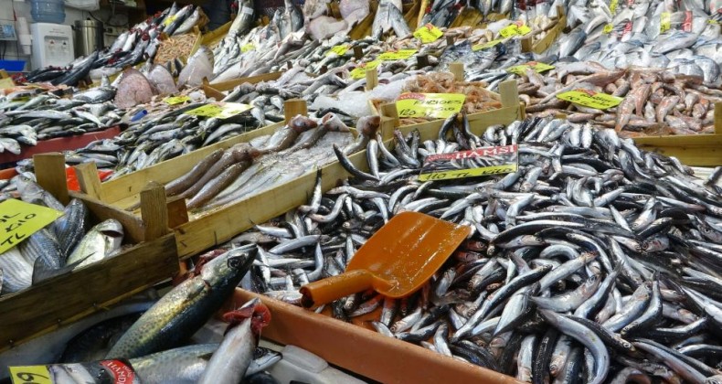 Balık tezgahlarında palamutun yerini çinekop alıyor