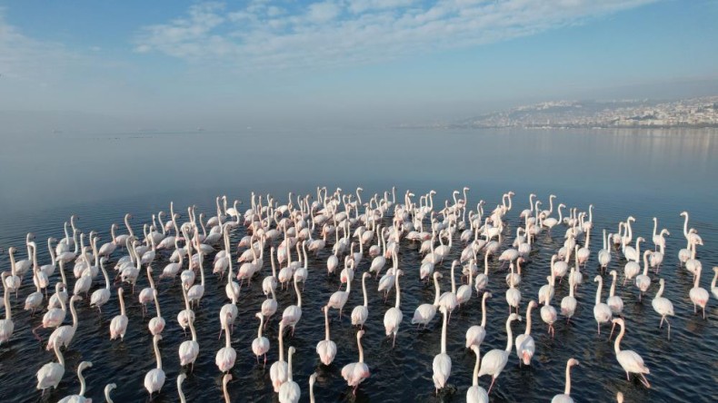 İzmit çocuğu, kışa rağmen İzmit’ten göç etmedi