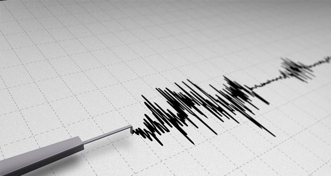 4.8 şiddetinde deprem