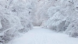 Uzman isim tarih verdi; Marmara’ya kar ne zaman yağacak? İşte cevabı…