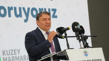 Dilovası’ndaki köpek katliamıyla ilgili Başkan Hamza Şayir’den açıklama