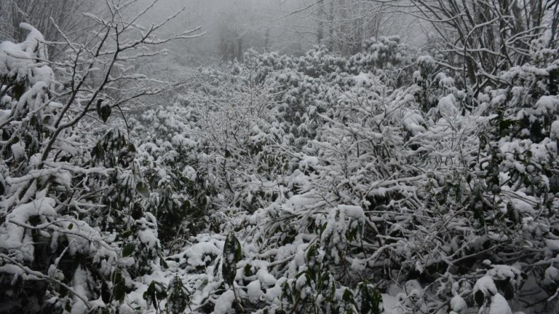 Beklenen kar gelince vatandaşlar soluğu Kartepe’de aldı
