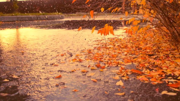 İşte Kocaeli’nin günlük hava durumu