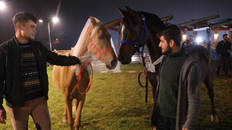 Gelin ve damat görenlerin ağızlarını açık bırakıyor