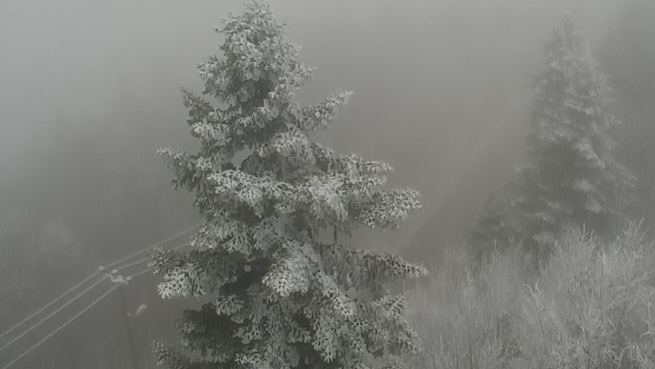 Kocaeli’de yüksek kesimlerde kar yağışı başladı