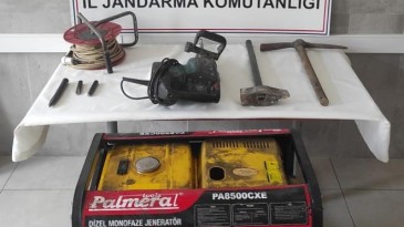 Ormanda define ararken jandarmaya suçüstü yakalandılar