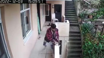 Evden kaçan kediyi acımasızca yumrukladı