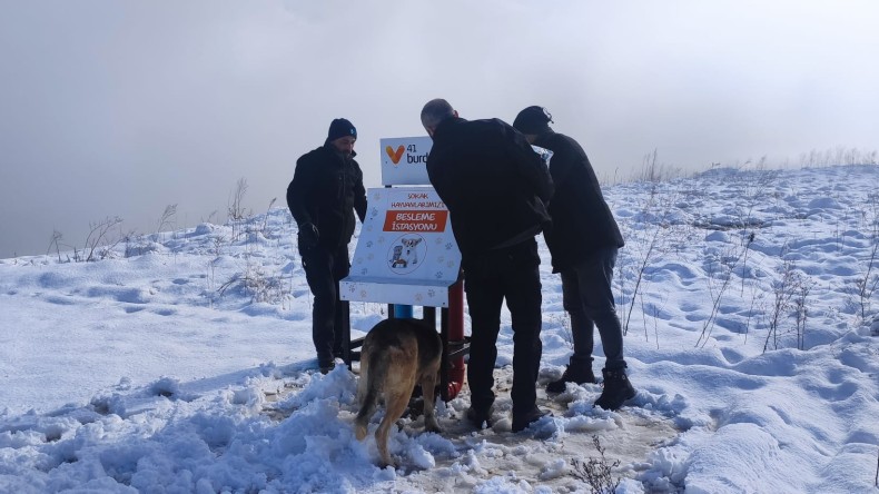 İzmit Belediyesi sokaktaki can dostlarımızı bu kış da unutmuyor