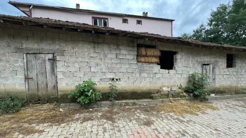 Bayram günü abisini öldüren sanıktan şaşırtan iddialar